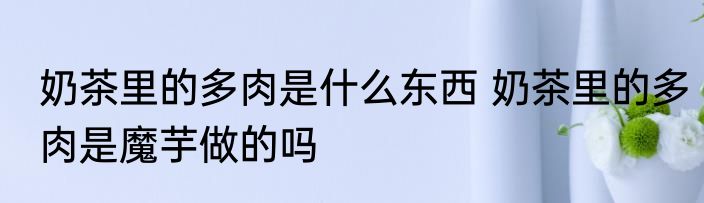 奶茶里的多肉是什么东西 奶茶里的多肉是魔芋做的吗