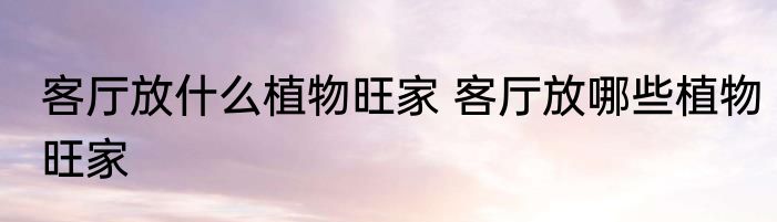 客厅放什么植物旺家 客厅放哪些植物旺家