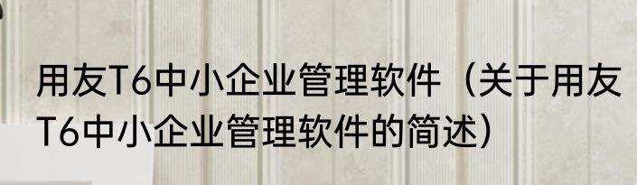 用友T6中小企业管理软件（关于用友T6中小企业管理软件的简述）