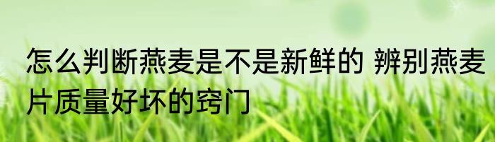 怎么判断燕麦是不是新鲜的 辨别燕麦片质量好坏的窍门