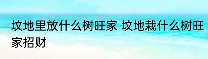 坟地里放什么树旺家 坟地栽什么树旺家招财