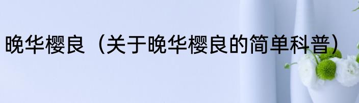 晚华樱良（关于晚华樱良的简单科普）