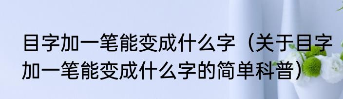 目字加一笔能变成什么字（关于目字加一笔能变成什么字的简单科普）