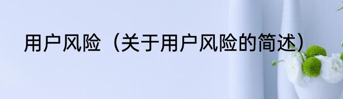 用户风险（关于用户风险的简述）