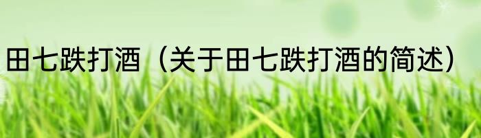 田七跌打酒（关于田七跌打酒的简述）