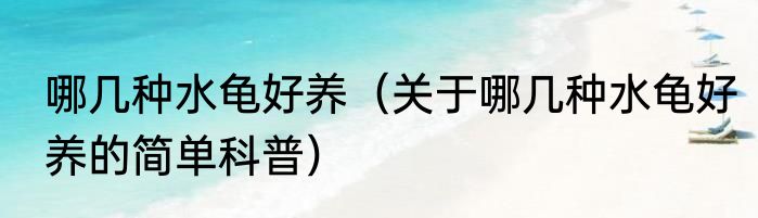 哪几种水龟好养（关于哪几种水龟好养的简单科普）
