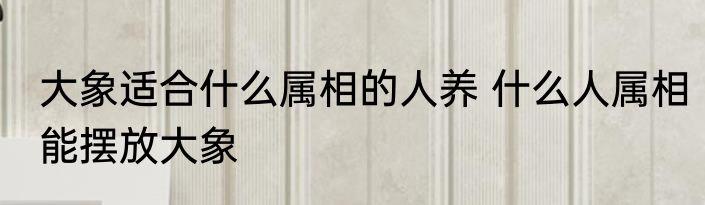 大象适合什么属相的人养 什么人属相能摆放大象