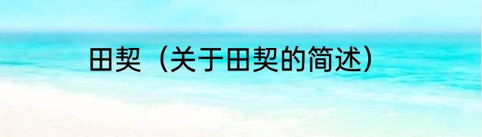田契（关于田契的简述）