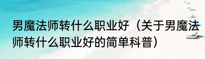 男魔法师转什么职业好（关于男魔法师转什么职业好的简单科普）