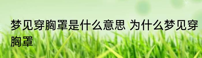梦见穿胸罩是什么意思 为什么梦见穿胸罩