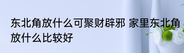 东北角放什么可聚财辟邪 家里东北角放什么比较好