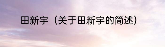 田新宇（关于田新宇的简述）