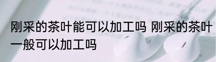 刚采的茶叶能可以加工吗 刚采的茶叶一般可以加工吗