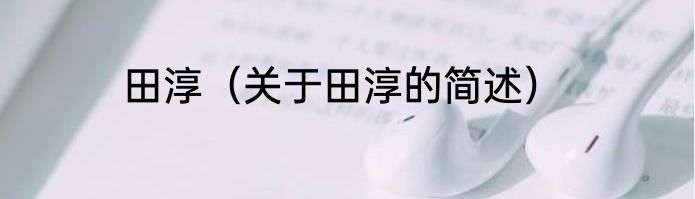田淳（关于田淳的简述）