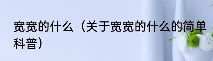 宽宽的什么（关于宽宽的什么的简单科普）