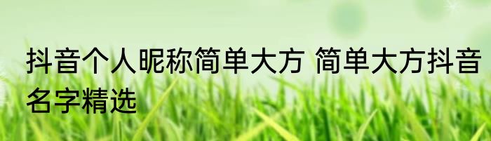 抖音个人昵称简单大方 简单大方抖音名字精选
