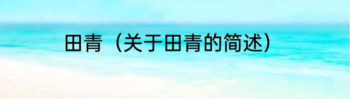 田青（关于田青的简述）
