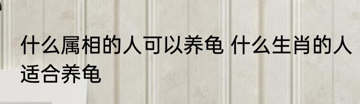 什么属相的人可以养龟 什么生肖的人适合养龟