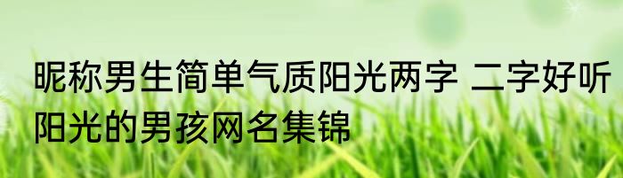 昵称男生简单气质阳光两字 二字好听阳光的男孩网名集锦