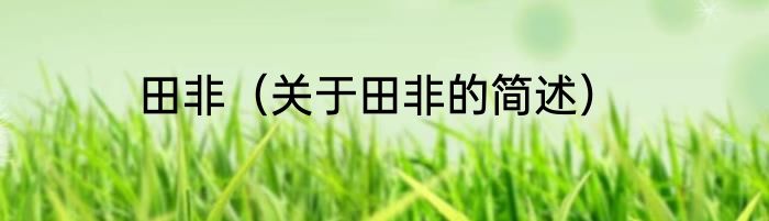 田非（关于田非的简述）