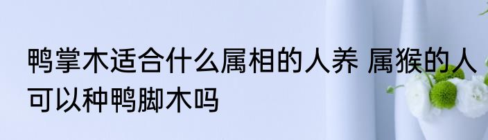 鸭掌木适合什么属相的人养 属猴的人可以种鸭脚木吗