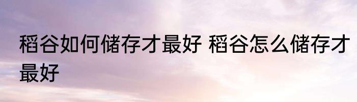 稻谷如何储存才最好 稻谷怎么储存才最好