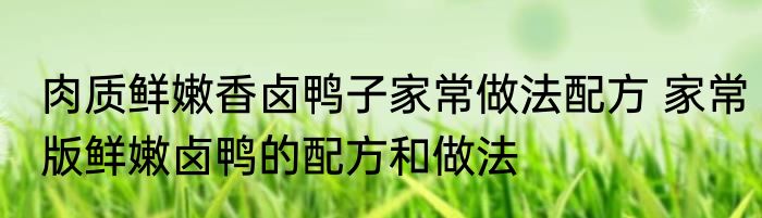 肉质鲜嫩香卤鸭子家常做法配方 家常版鲜嫩卤鸭的配方和做法