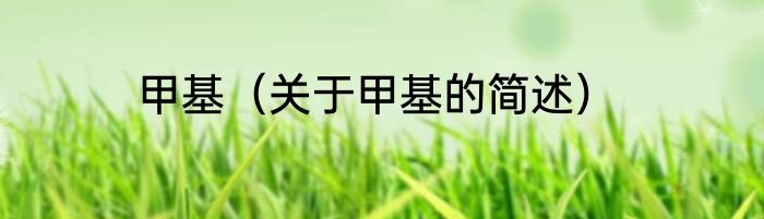 甲基（关于甲基的简述）
