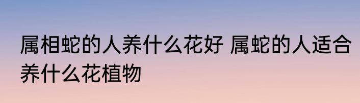 属相蛇的人养什么花好 属蛇的人适合养什么花植物