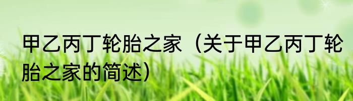 甲乙丙丁轮胎之家（关于甲乙丙丁轮胎之家的简述）