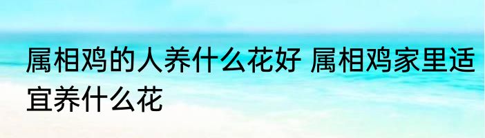 属相鸡的人养什么花好 属相鸡家里适宜养什么花