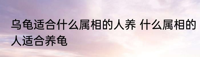 乌龟适合什么属相的人养 什么属相的人适合养龟