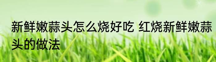 新鲜嫩蒜头怎么烧好吃 红烧新鲜嫩蒜头的做法