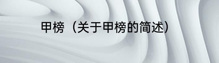 甲榜（关于甲榜的简述）