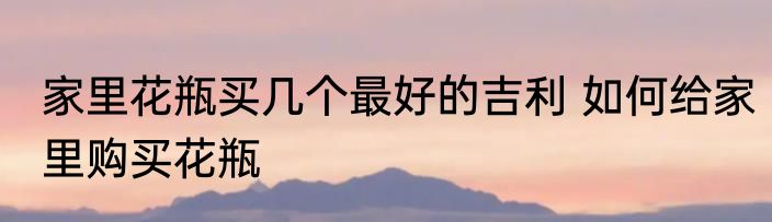 家里花瓶买几个最好的吉利 如何给家里购买花瓶