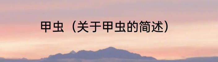 甲虫（关于甲虫的简述）
