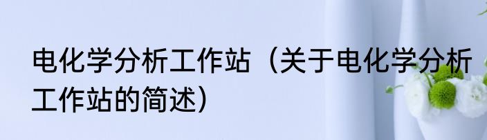 电化学分析工作站（关于电化学分析工作站的简述）