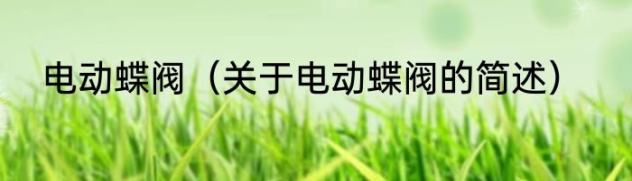 电动蝶阀（关于电动蝶阀的简述）