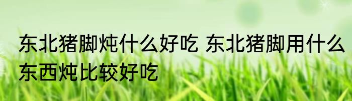 东北猪脚炖什么好吃 东北猪脚用什么东西炖比较好吃