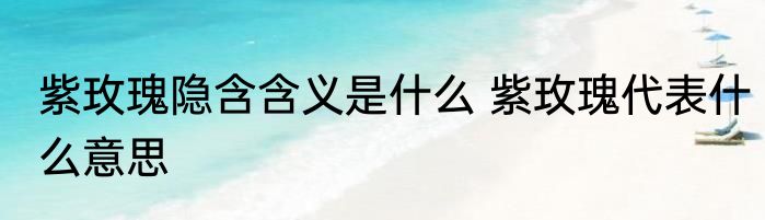 紫玫瑰隐含含义是什么 紫玫瑰代表什么意思