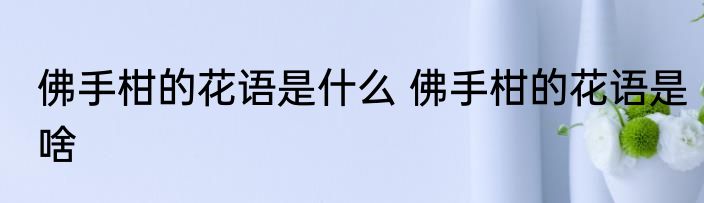 佛手柑的花语是什么 佛手柑的花语是啥