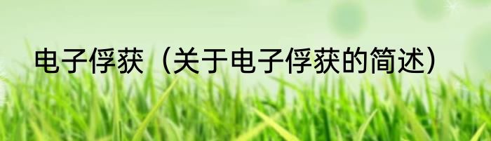 电子俘获（关于电子俘获的简述）