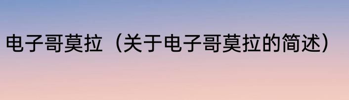电子哥莫拉（关于电子哥莫拉的简述）