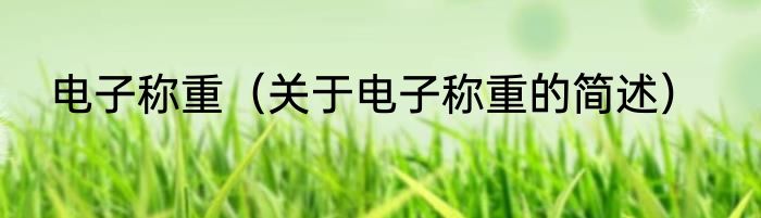 电子称重（关于电子称重的简述）