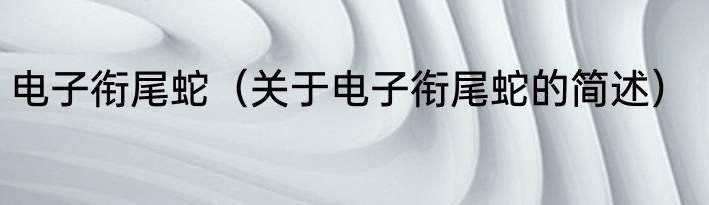 电子衔尾蛇（关于电子衔尾蛇的简述）