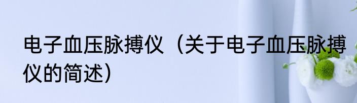 电子血压脉搏仪（关于电子血压脉搏仪的简述）