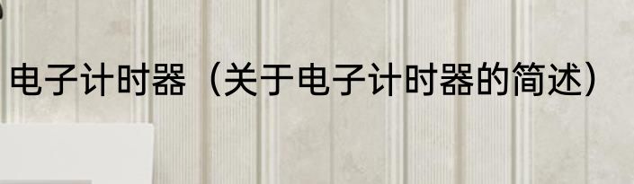 电子计时器（关于电子计时器的简述）
