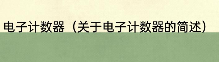电子计数器（关于电子计数器的简述）