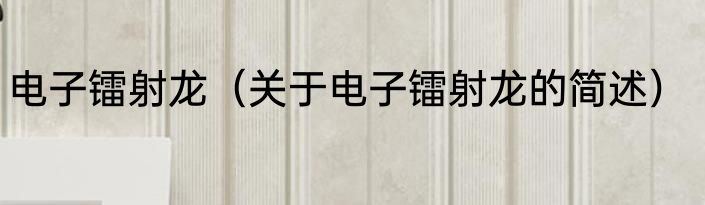 电子镭射龙（关于电子镭射龙的简述）