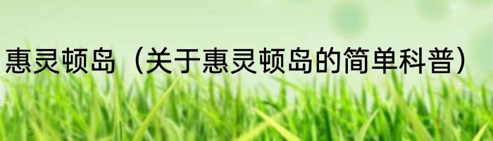 惠灵顿岛（关于惠灵顿岛的简单科普）
